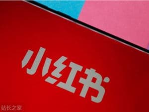 小紅書開放代理商全流程 AI 能力，押注"行業經營夥伴"升級