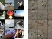 Luma Open-Sources IMM: A 10x Improvement in Image Model Pretraining Sampling Efficiency