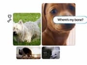 ElevenLabs发布全球首款犬类AI文本转语音模型“Text To Bark”