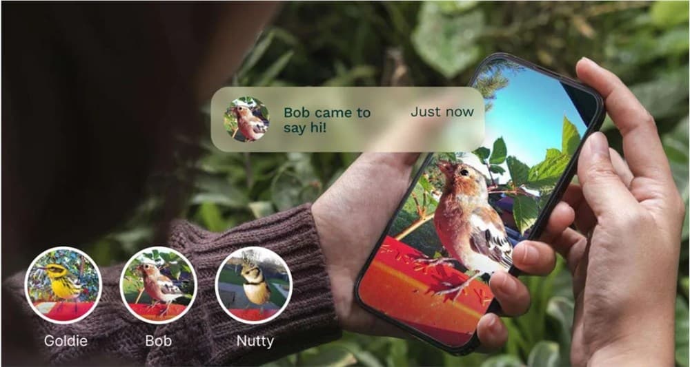 Bird Buddy 推出“Name That Bird”新功能:AI 驅動的鳥類識別與追蹤