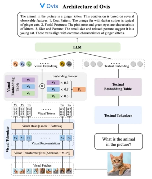 Ali International Open Source Ovis2 Series Multimodal Large Language Model with Six Versions
