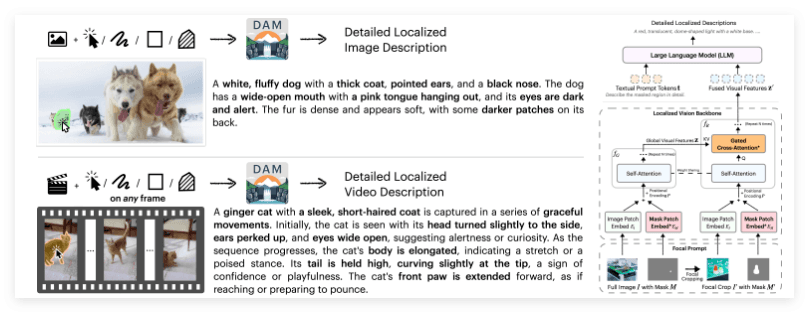 NVIDIA Unveils Multimodal LLM Describe Anything: Generating Detailed Descriptions of Specific Regions