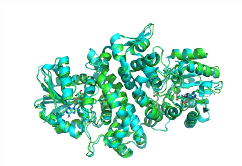 MIT研究团队推开源AI模型Boltz-1,推动生物分子结构预测