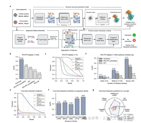 Shanghai AI Laboratory Launches Innovative ViraHInter Model to Enhance Efficiency in Antiviral Drug Development